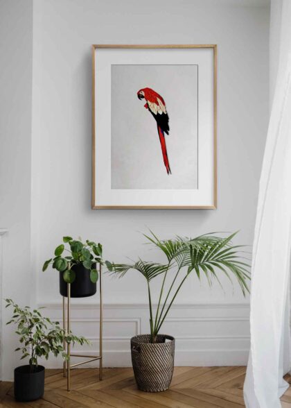 AMAZINGARTCLUB Prints - GUACAMAYO