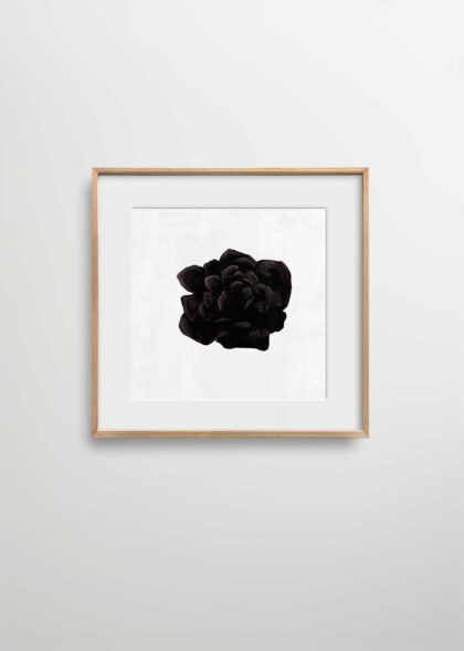 BLACK ORCHID - 50x50 cm, Natural